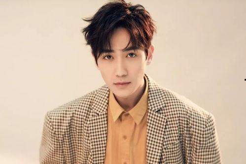 成人裁缝速成视频大全,成人裁缝速成视频大全攻略